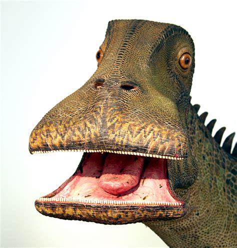 nigersaurus pronounce